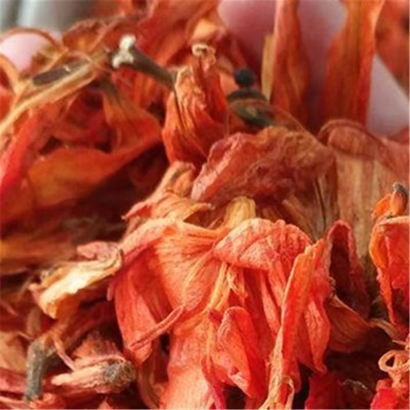 灵芝花灵芝花灵芝花灵芝花灵芝花大货批发