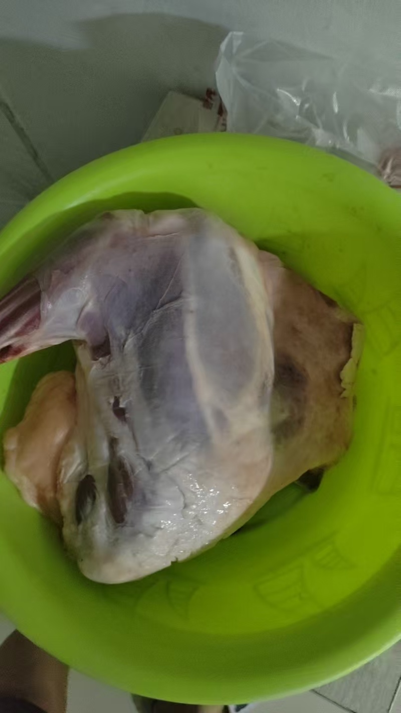 精修分割羊肉包装精美价格美丽一手货源欢迎咨询