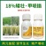 18%矮壮素甲哌鎓控旺药矮化剂抗倒伏抗逆植物生长调节剂