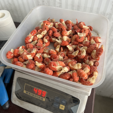 无冰衣单冻干冻小龙虾尾特级一级二级三级次品厂家直销
