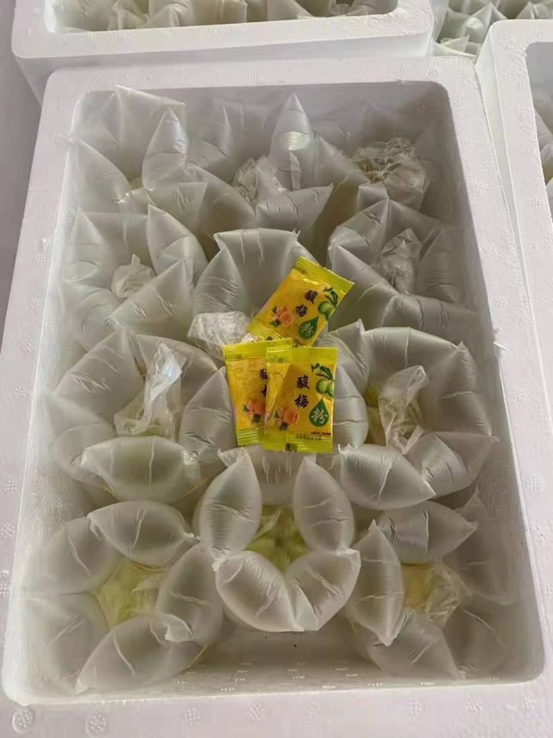 福建杨桃一件代发产地直发一手货源对接各大电商平台