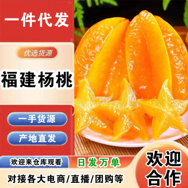 福建杨桃一件代发产地直发一手货源对接各大电商平台