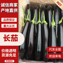 辽宁暖棚绿库长茄大量上市，产地直发，欢迎各位客商前来采购