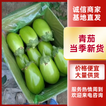 【东北精品青茄】现摘现发大量上市欢迎各位老板电联
