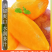 代发云南天山雪莲果.