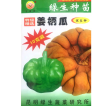 姜柄瓜种子中早熟品种瓜形扁圆老瓜甜而有香味