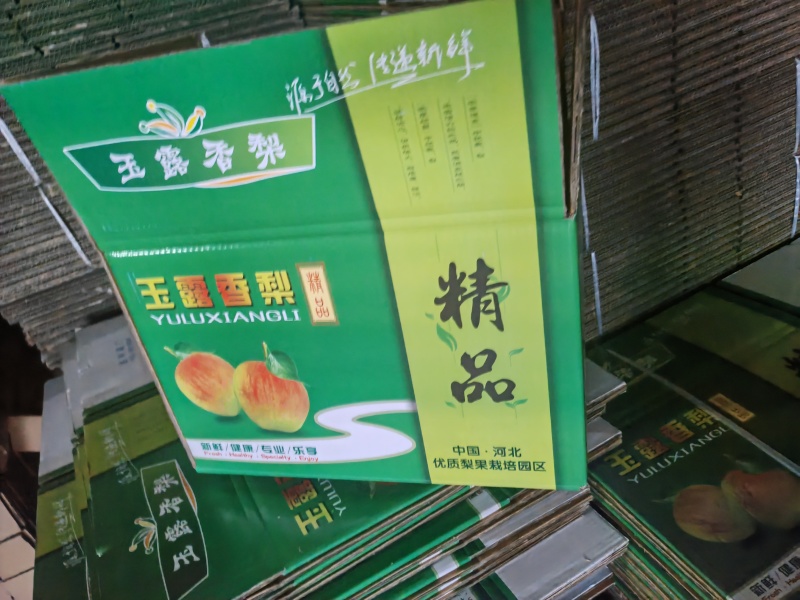 【实力】赵县玉露香梨大量供应中皮薄个大全国批发欢迎选购