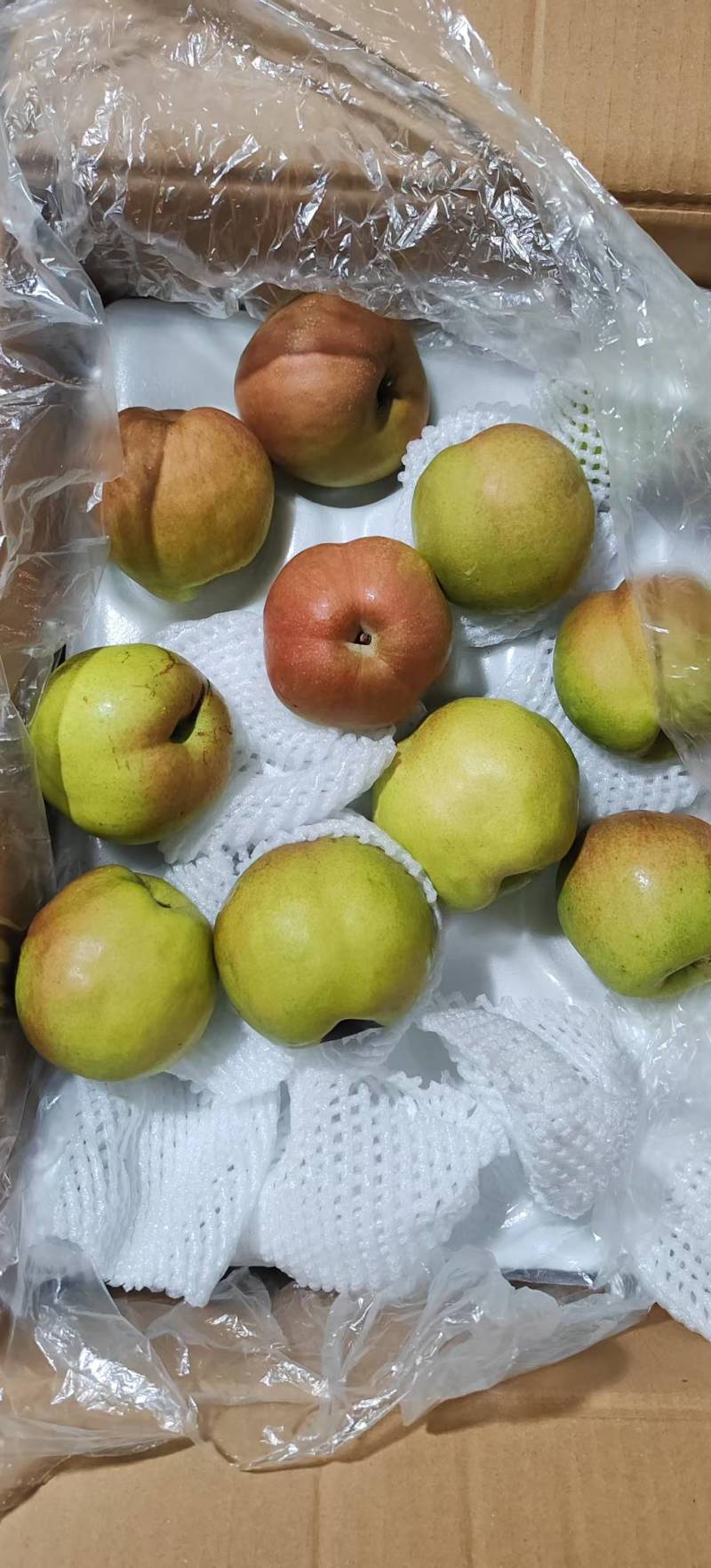 【实力】赵县玉露香梨大量供应中皮薄个大全国批发欢迎选购