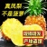 海南金钻凤梨一代发电商货/主播带货可以寻价！