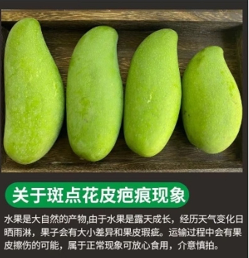 酸脆青芒果象牙芒一件代发（电商货/主播带货可以寻价！）