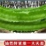 海南四棱豆四角豆产地直发/支持一件代发