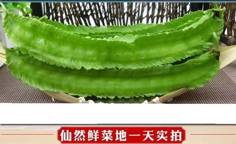 海南四棱豆四角豆产地直发/支持一件代发