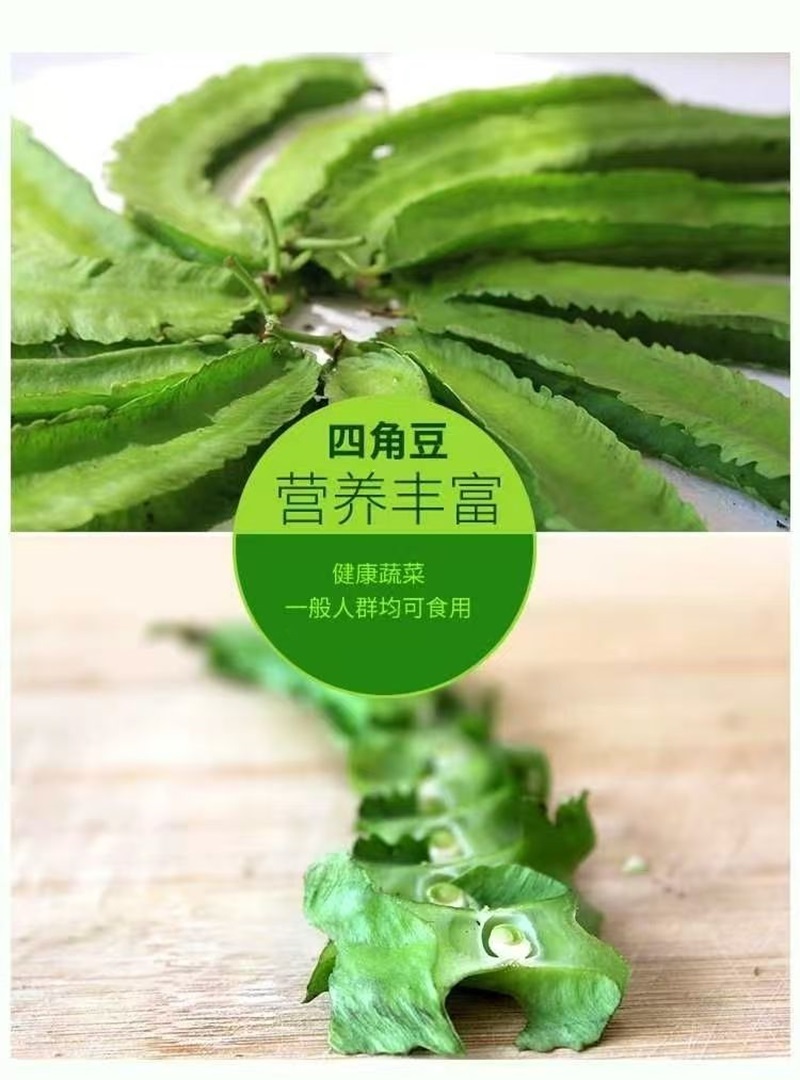 海南四棱豆四角豆产地直发/支持一件代发