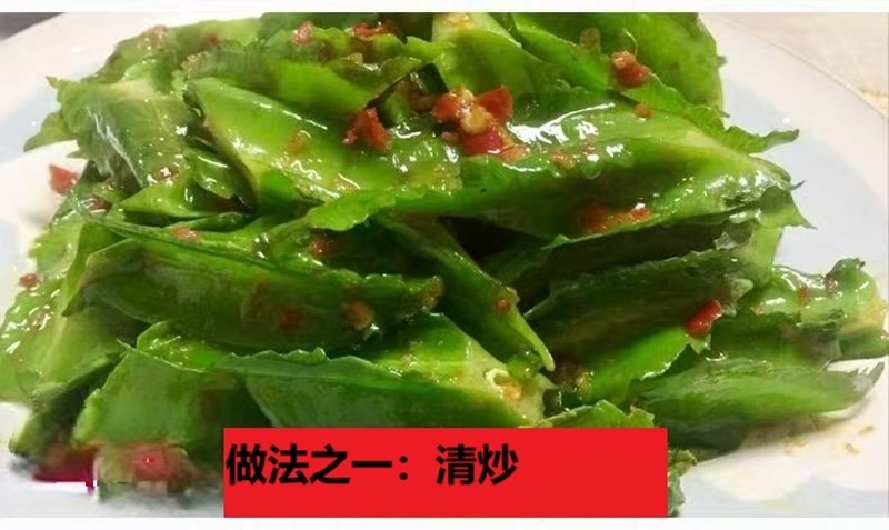 海南四棱豆四角豆产地直发/支持一件代发