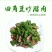 海南四棱豆四角豆产地直发/支持一件代发