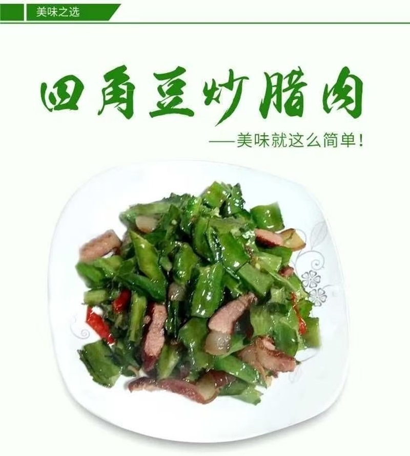海南四棱豆四角豆产地直发/支持一件代发