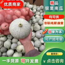 银栗南瓜贝贝南瓜板栗南瓜电商市场工厂货够老各种规格