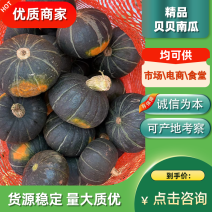 贝贝南瓜板栗南瓜湛江徐闻现摘现发按需挑拣