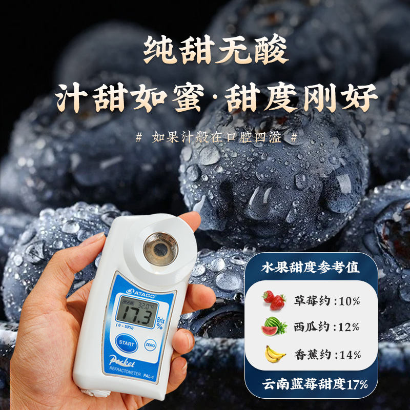【8盒】125g/盒云南蓝莓当季高山现摘新鲜水果