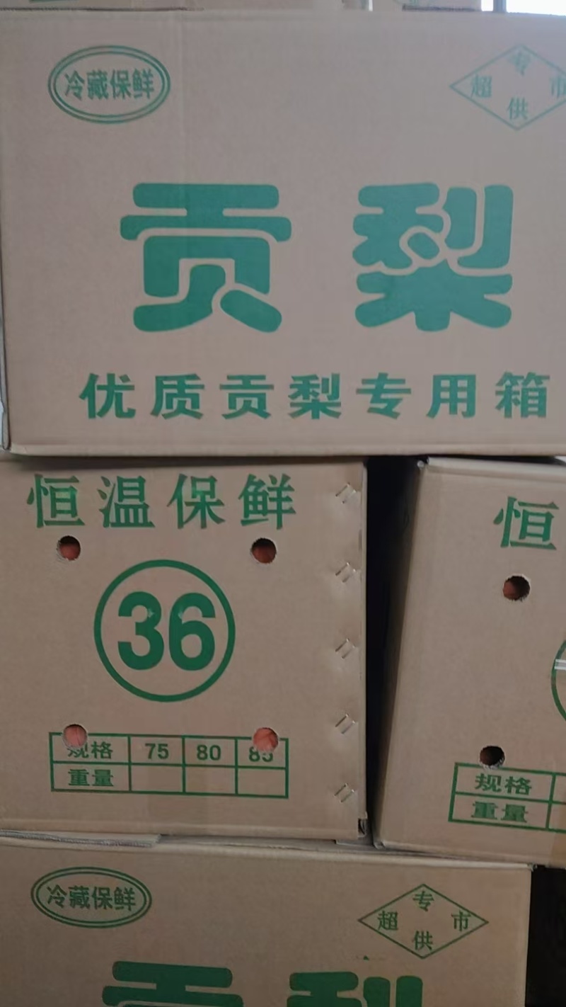 【大量有货】平遥贡梨品质保证欢迎新老客户来电咨询
