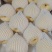 【平遥贡梨】大量有货品质保证产地直发诚信经营