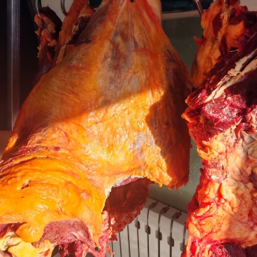 清真【材料肉，牛霖】新鲜杀呼伦贝尔天然黄膘牛，牛肉，牛霖