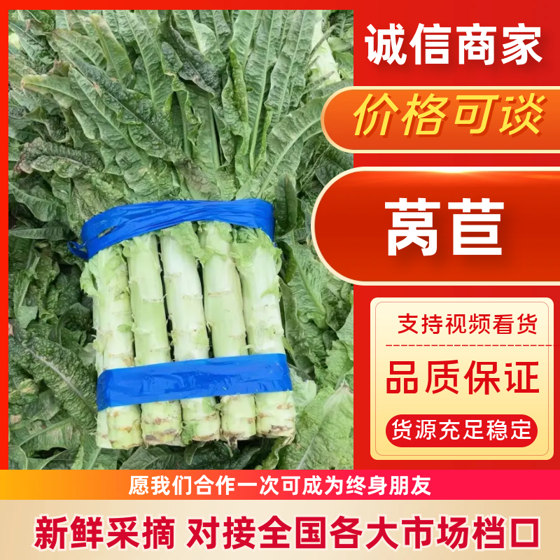【牛商推荐】宿州精品莴苣品质保障大量供应电商市场