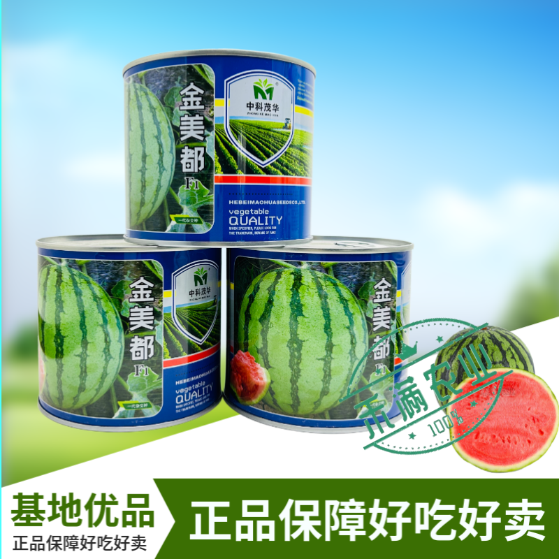 高纯新品金美都西瓜麒麟8424少籽大果种籽南方高产西瓜种