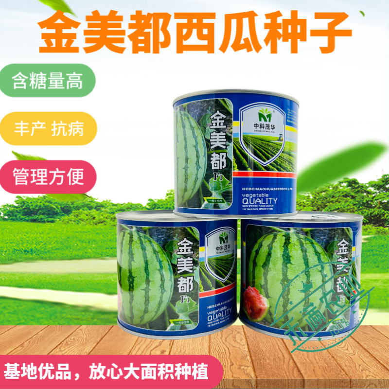 高纯新品金美都西瓜麒麟8424少籽大果种籽南方高产西瓜种