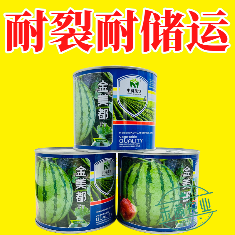 高纯新品金美都西瓜麒麟8424少籽大果种籽南方高产西瓜种