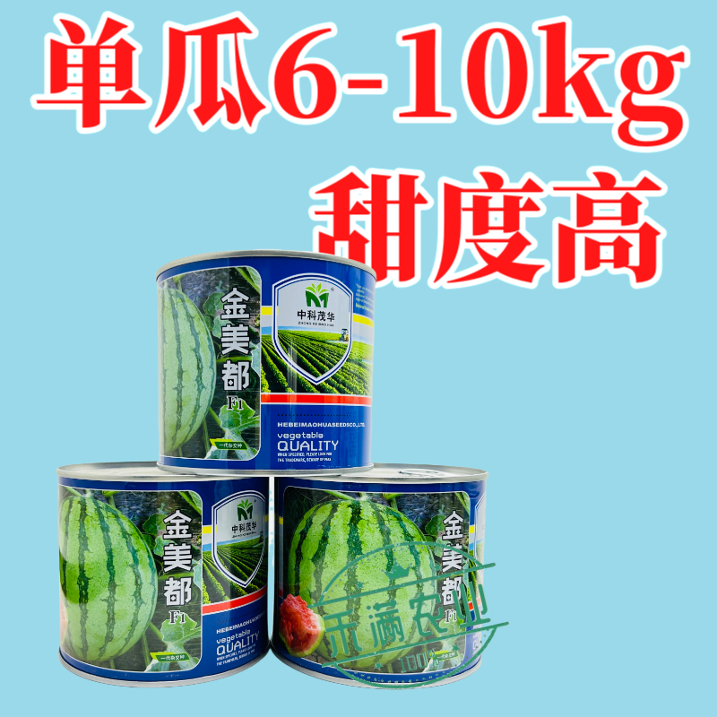 高纯新品金美都西瓜麒麟8424少籽大果种籽南方高产西瓜种