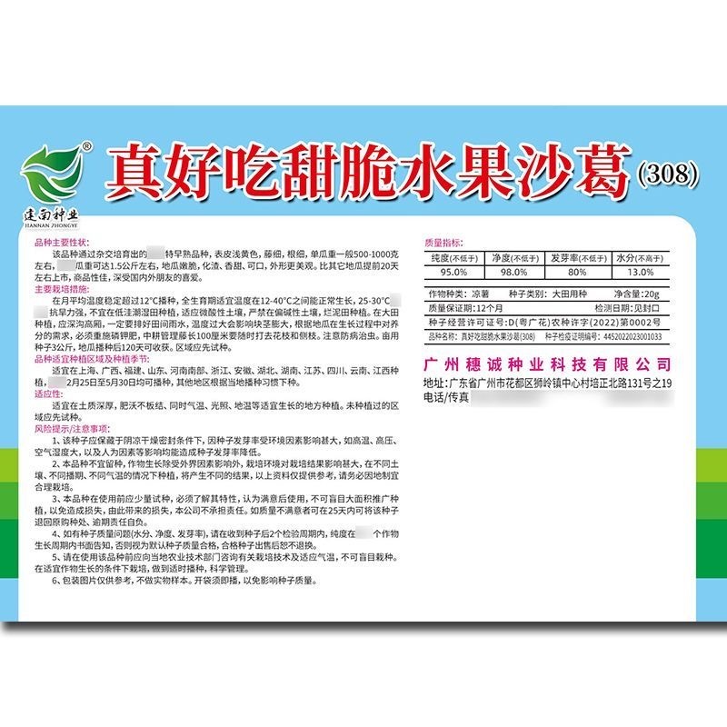 真好吃甜脆水果沙葛种子牧马山地瓜凉薯种子脆甜多汁