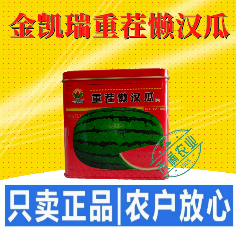 可重茬种金凯瑞重茬懒汉王西瓜种子大果红瓤西瓜少籽不空