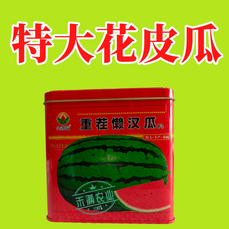 可重茬种金凯瑞重茬懒汉王西瓜种子大果红瓤西瓜少籽不空