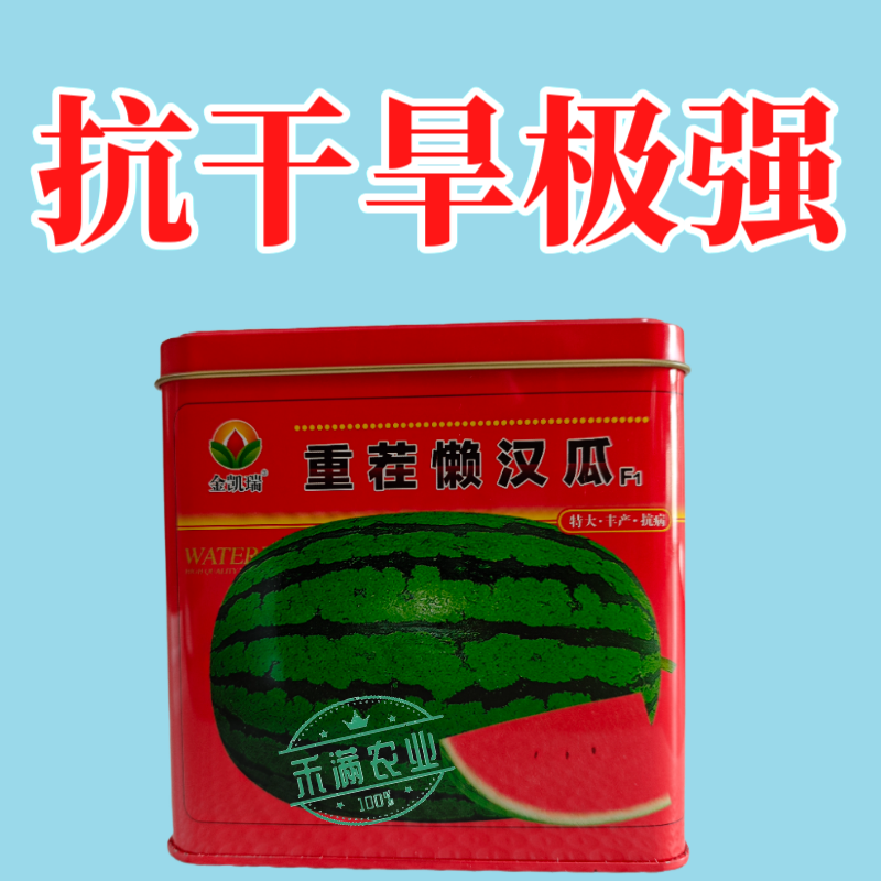 可重茬种金凯瑞重茬懒汉王西瓜种子大果红瓤西瓜少籽不空