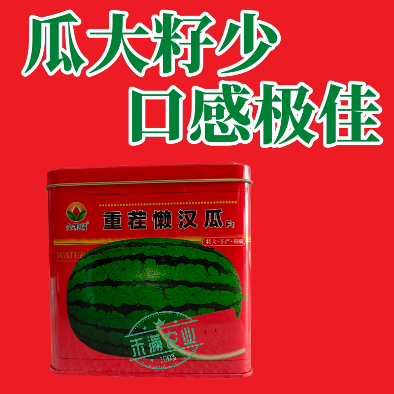 可重茬种金凯瑞重茬懒汉王西瓜种子大果红瓤西瓜少籽不空