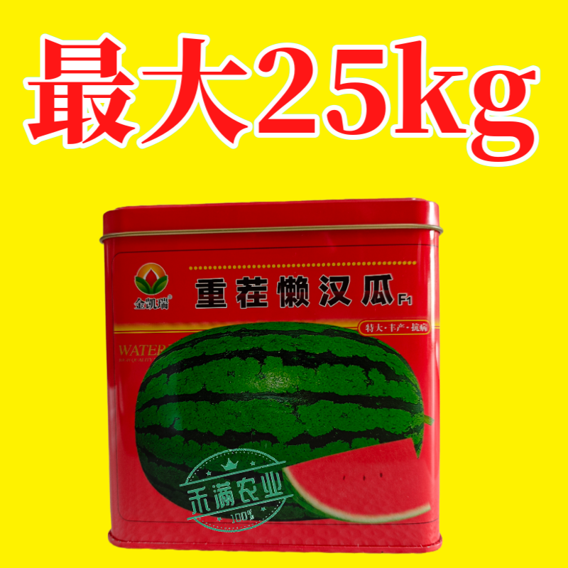 可重茬种金凯瑞重茬懒汉王西瓜种子大果红瓤西瓜少籽不空
