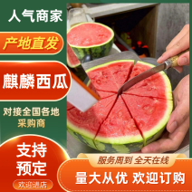 【麒麟西瓜】云南西瓜产地一手货源全国发货品质保证