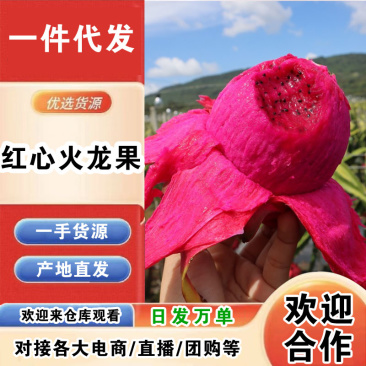 【招代理】海南红心火龙果/一件代发/产地直发/一手货源