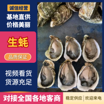 生蚝产地直发规格齐全肉质肥美对接全国量大优惠