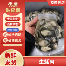 生蚝肉批发产地直发品质保障对接全国市场电商餐饮店等