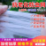 防虫网农用蔬菜大棚加厚防虫纱网养殖场专用防蝇网养猪场防蚊