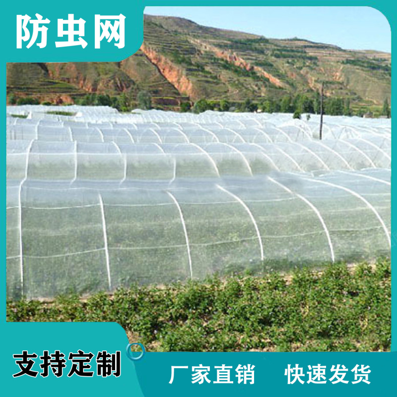 防虫网农用蔬菜大棚加厚防虫纱网养殖场专用防蝇网养猪场防蚊
