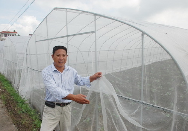 防虫网农用蔬菜大棚加厚防虫纱网养殖场专用防蝇网养猪场防蚊