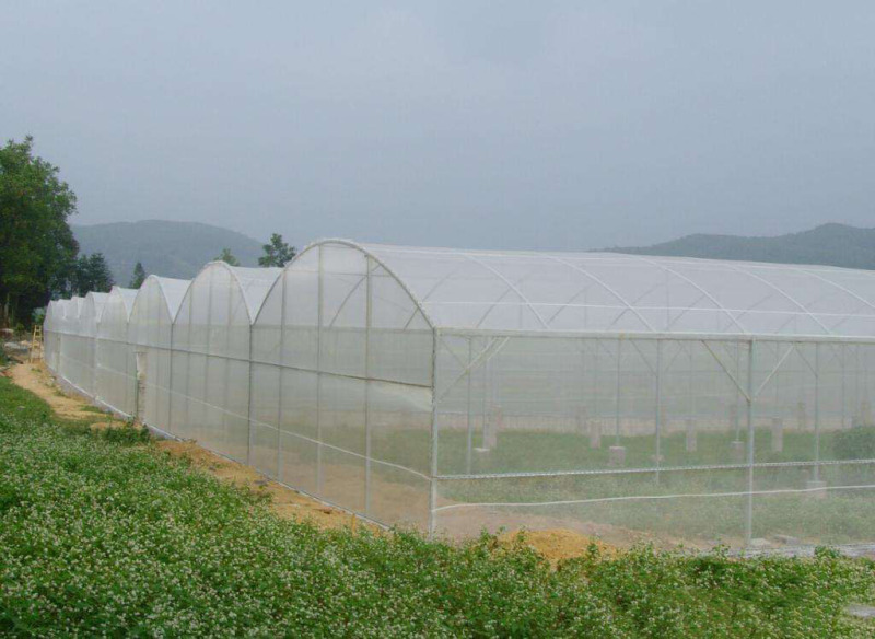 防虫网农用蔬菜大棚加厚防虫纱网养殖场专用防蝇网养猪场防蚊