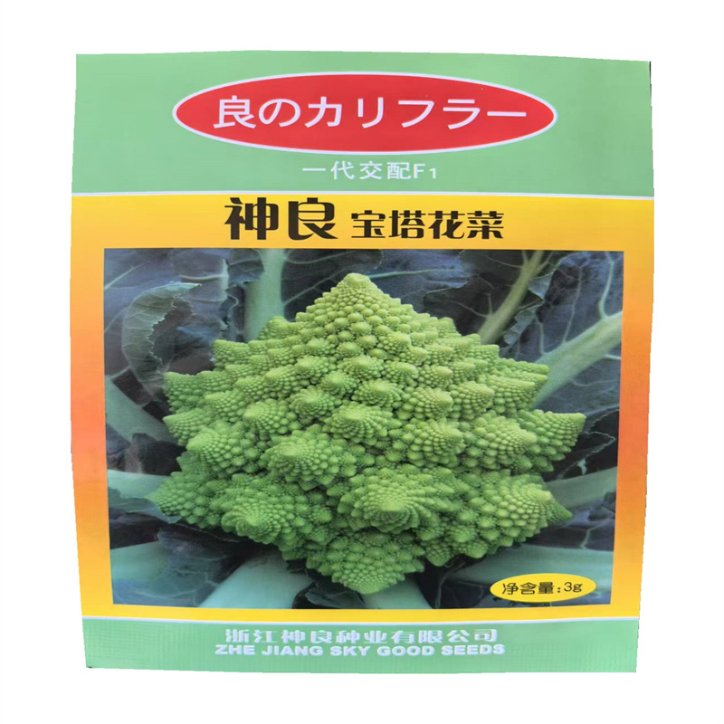 宝塔花菜种子高产宝塔菜种子神良青宝塔菜种子