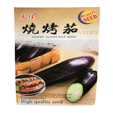 烧烤茄种子中熟一代杂交紫黑发亮粗长茄子种子