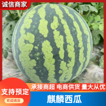 【包熟包甜】云南麒麟西瓜包熟包甜基地直发