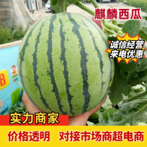 麒麟西瓜麒麟西瓜无籽西瓜规格齐全代发全国