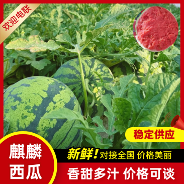 山东麒麟西瓜山东西瓜美都西瓜供应全国市场电商
